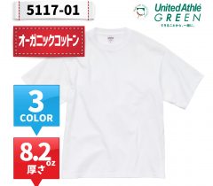 4208-01