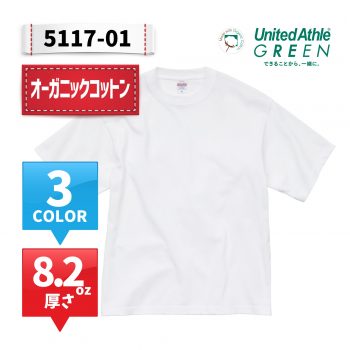 4208-01