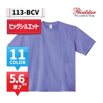 113-BCV