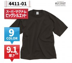 4411-01