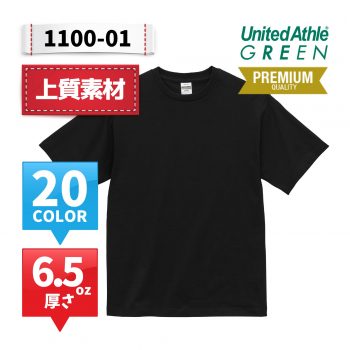 1100-01