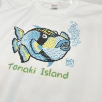 #tanakiisland #tanaki #okinawa